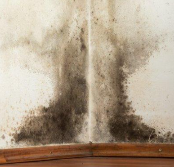 江南（蘇州）梅雨季節(jié)，家具霉斑處理小技巧，建議收藏哦！